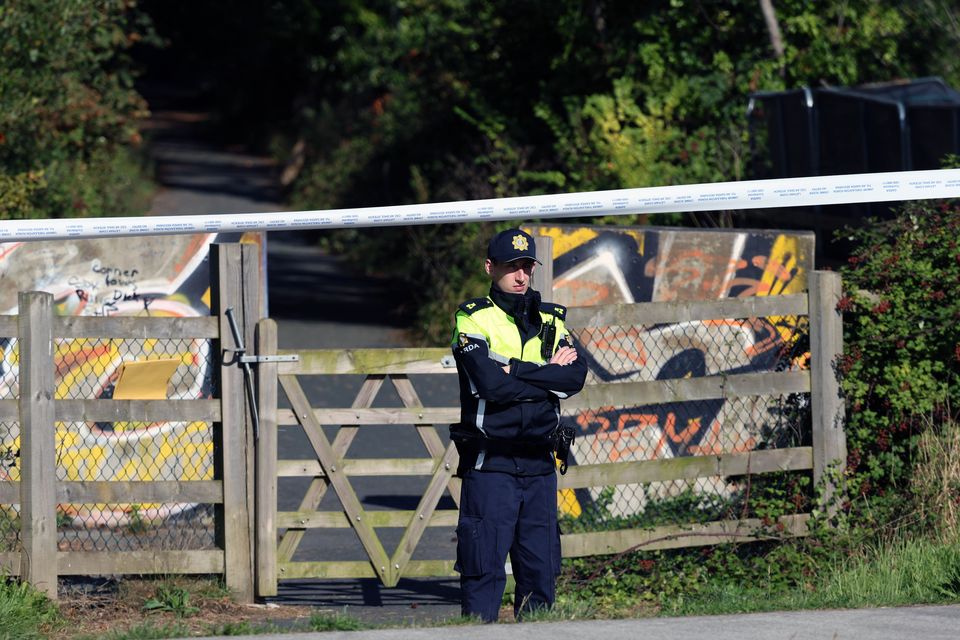 A garda at the scene on Portrane Road in north Dublin where a search is under way. Photo: Colin Keegan/Collins